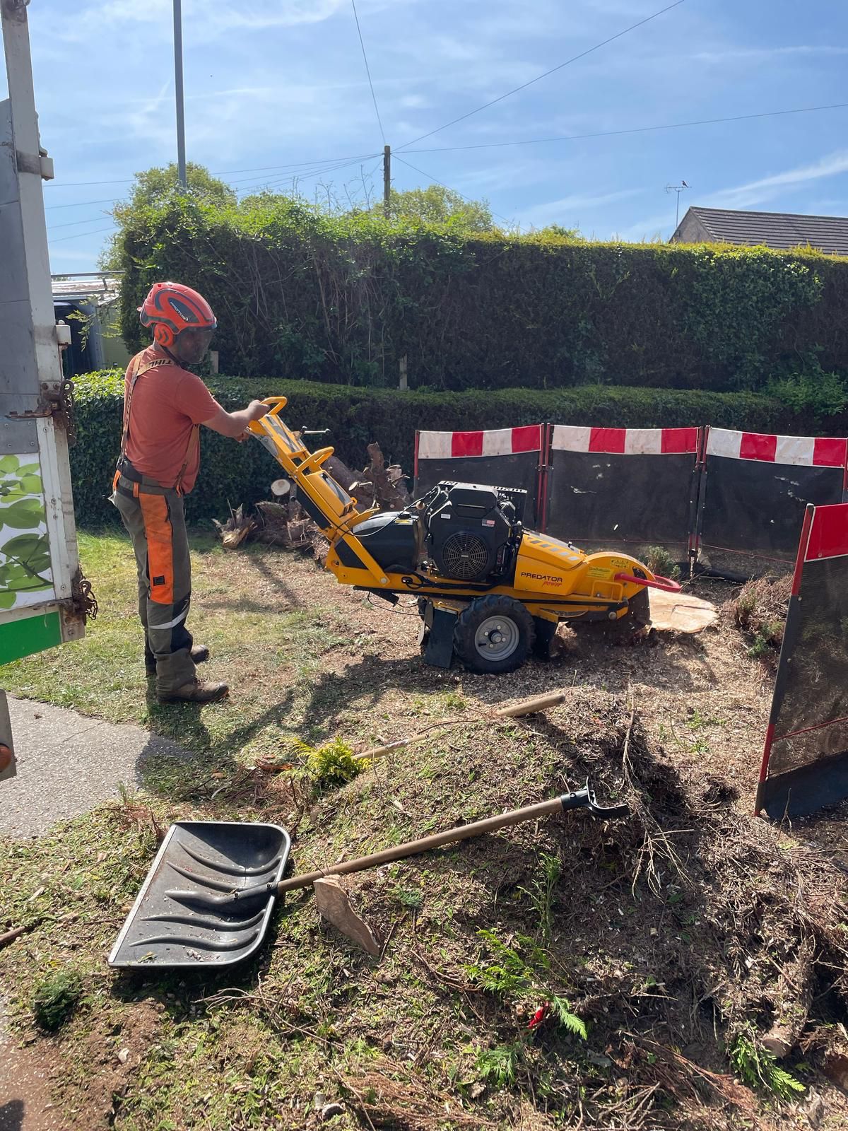 T&S arborist with stump grinder on a job in Derbyshire