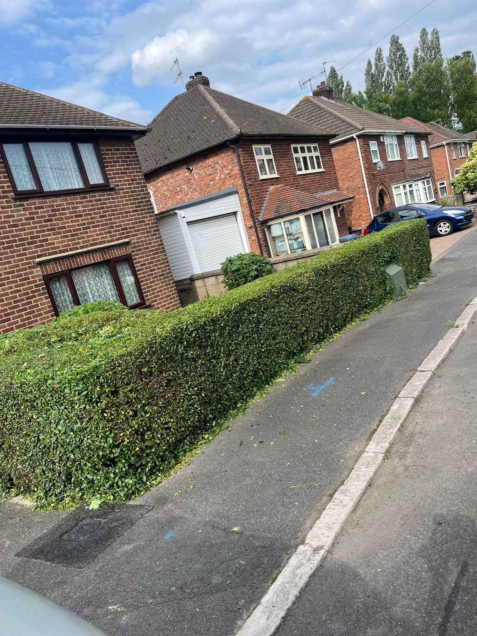 Hedge trimmed level along driveway