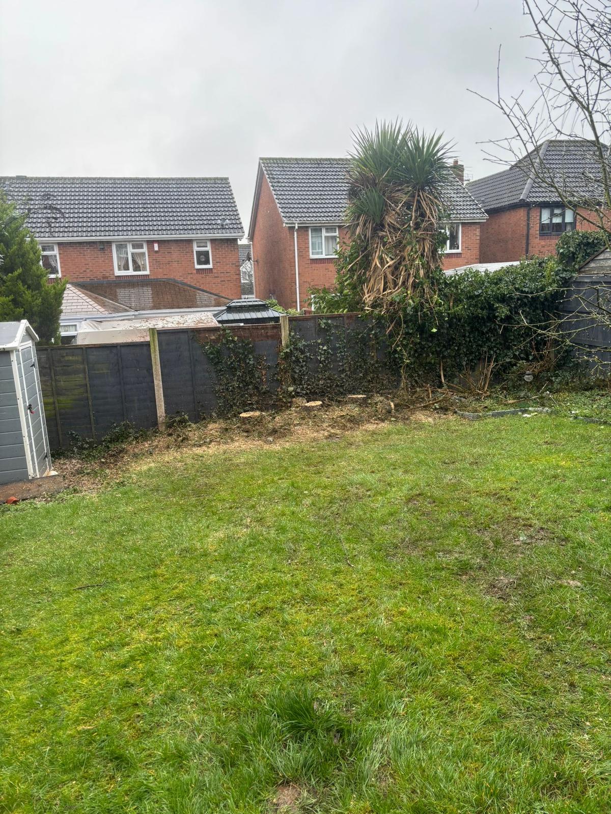 Yucca and shrub removal in back garden