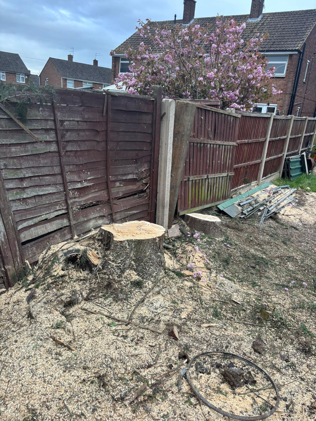 Stump removed in garden