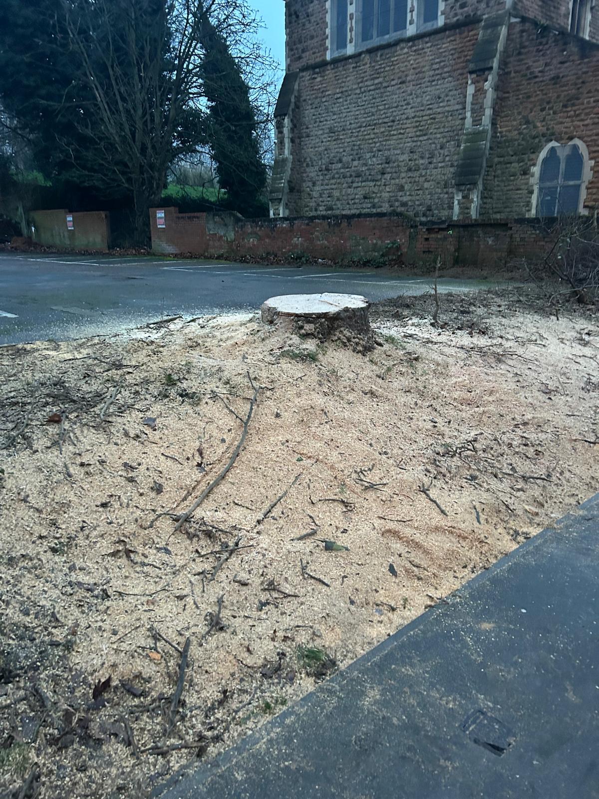 Roadside stump removed near church